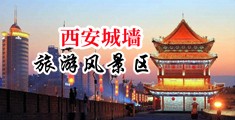 8090超碰中国陕西-西安城墙旅游风景区